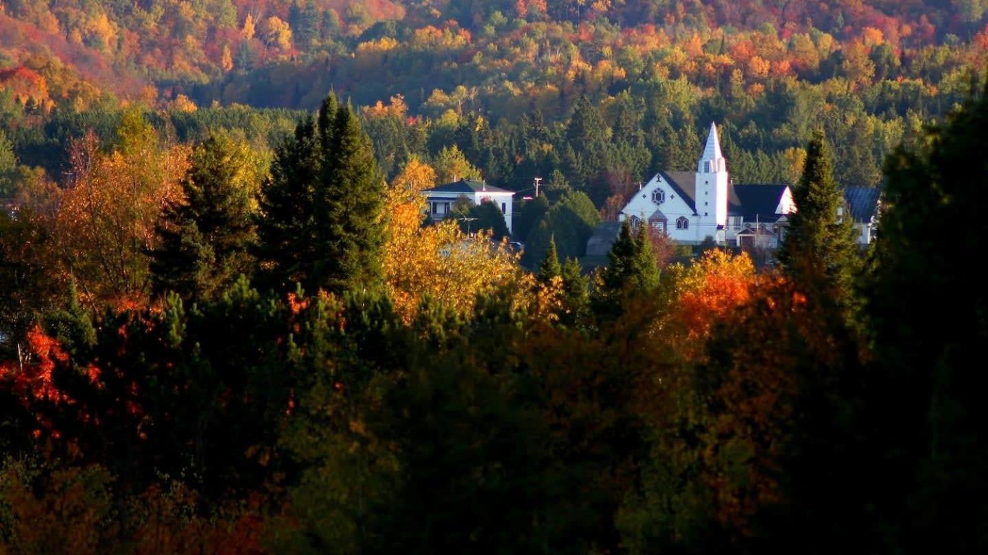 Your Cozy Cabin Retreat Saint-Remi-d'Amherst Dış mekan fotoğraf